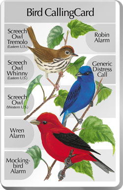 The CallingCard