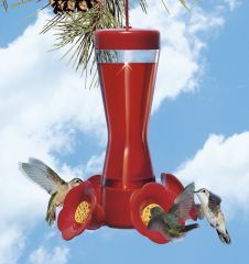 4 Fountains Glass Hummingbird Feeder