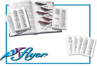 iFlyer Scan Labels