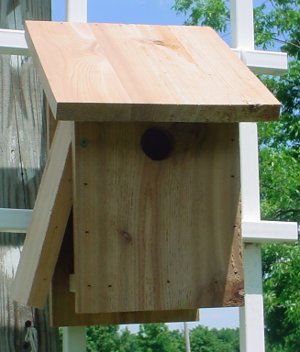 Bird Houses by Mark - Side Opening Bluebird House