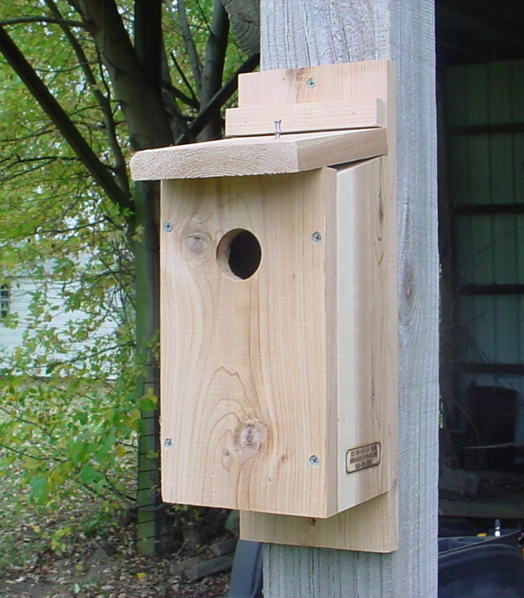 Bluebird House