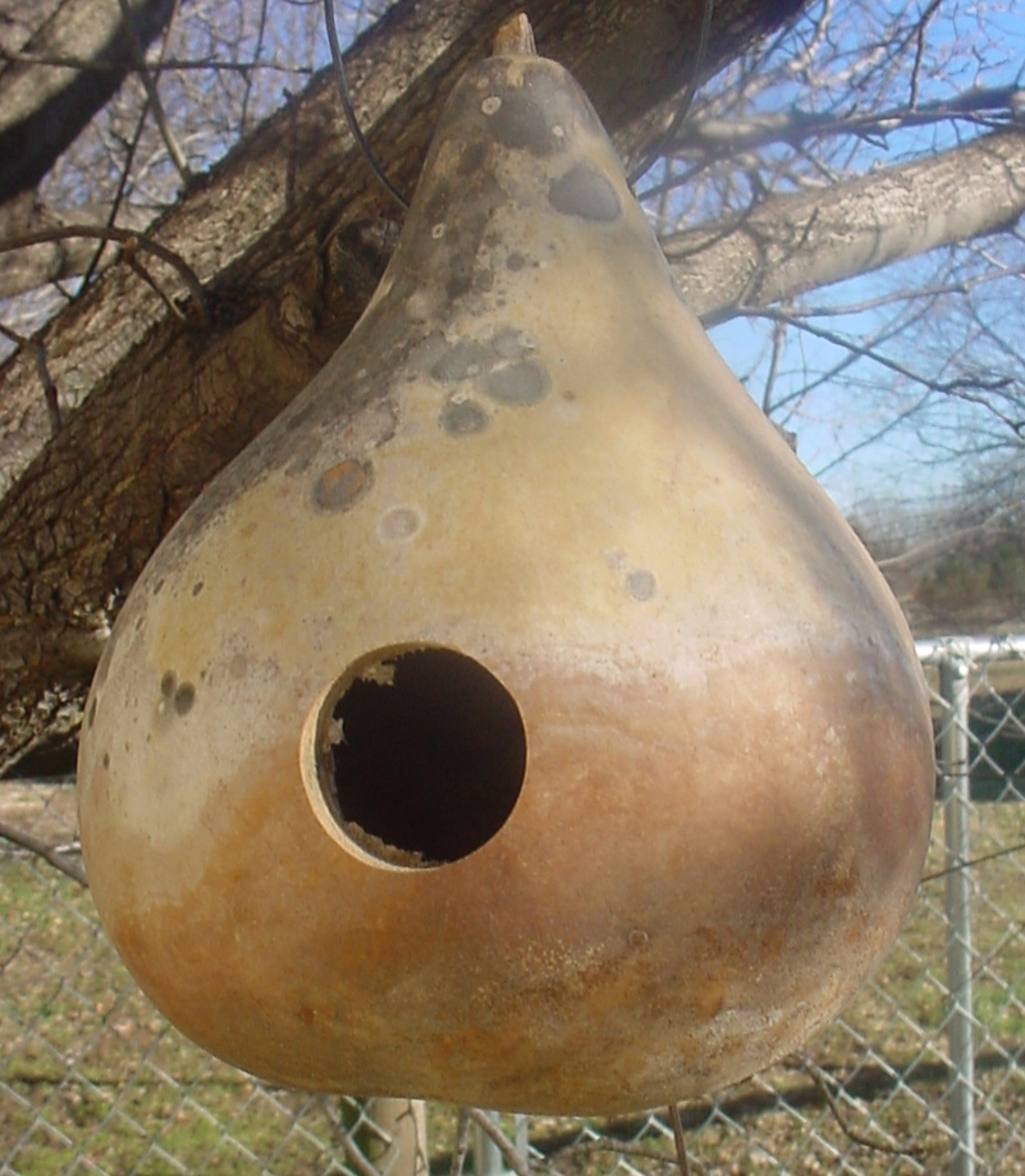 Medium gourd birdhouse