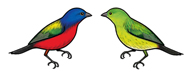 Painted Bunting