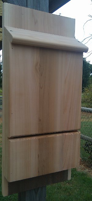 Slim 1 Chamber Bat House