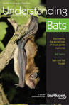 Understanding Bats