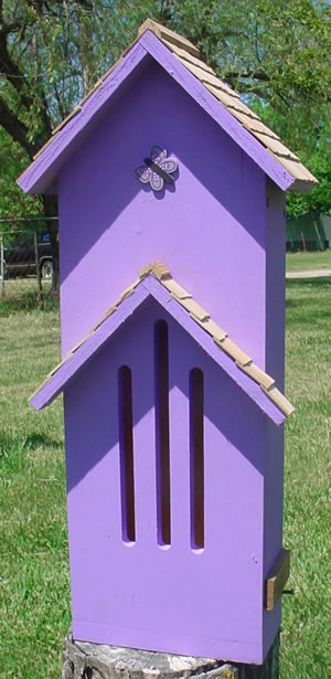 Thached Roof Butterfly House - Lavender