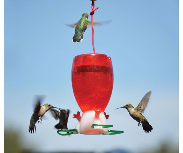 Big Red Hummingbird Feeder