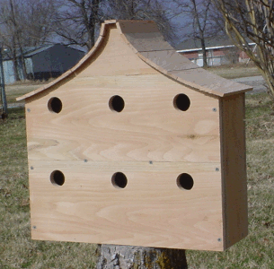 Multi-Unit Bird Condo