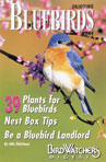 Enjoying Bluebirds More