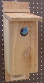 Bluebird House