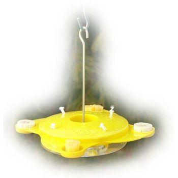 Butterfly Wick Feeder