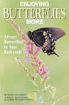 Enjoying Butterflies More
