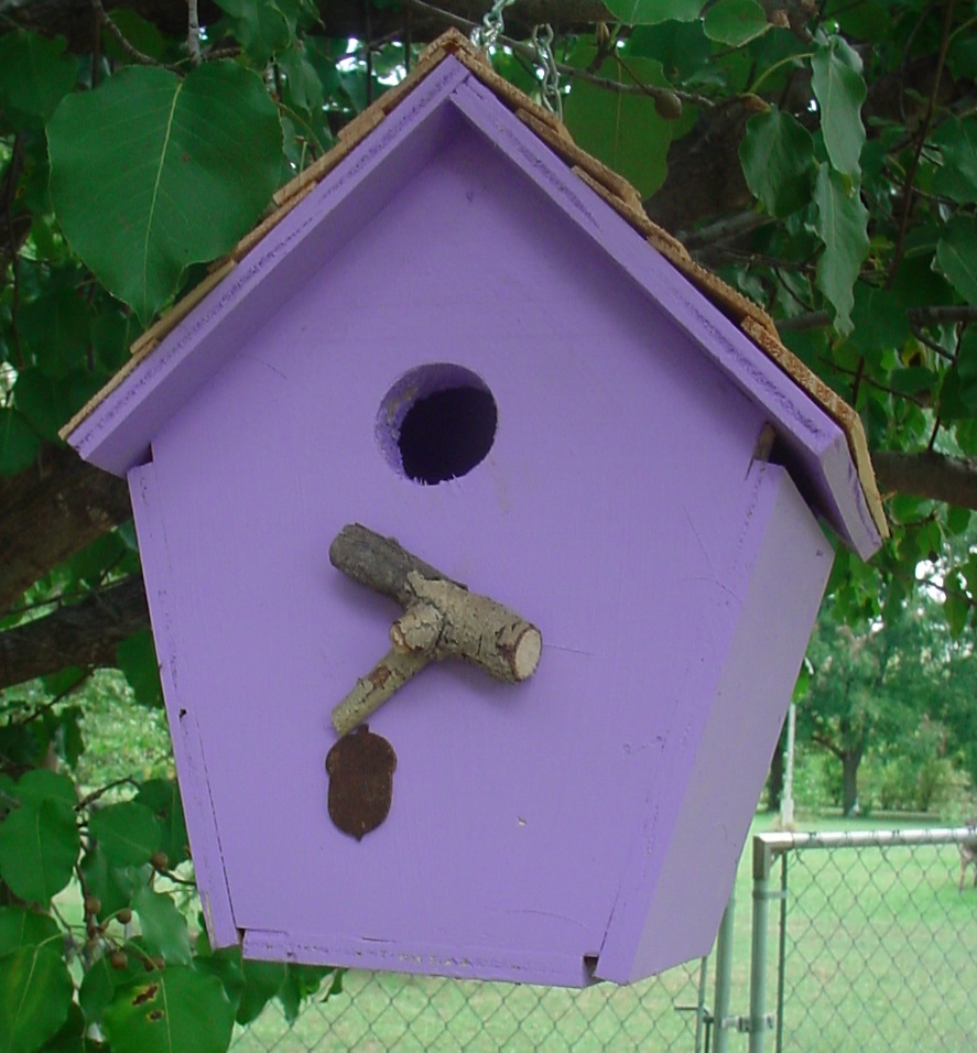 Lavender Cabin