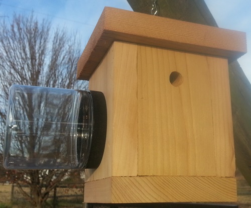 carpenter bee house carpenter bee house