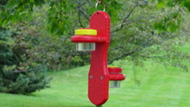 Double Hanging Nectar Dot