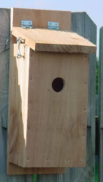 Downey Woodpecker House