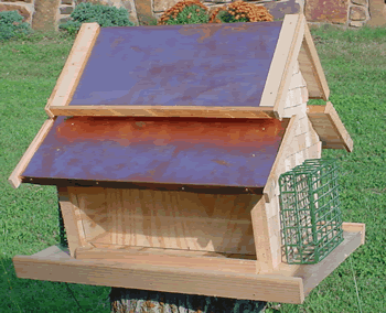 Dual Hopper and Suet Feeder