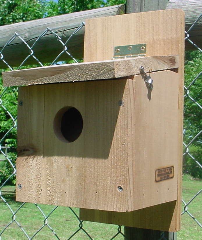 House Finch Birdhouse