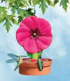 Hibiscus Hummingbird Feeder