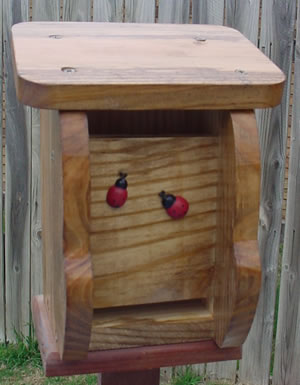 Ladybug House