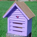 Homesteaed Ladybug House - Lavender