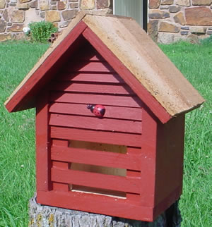 Homestead Ladybug House - Rancho Red