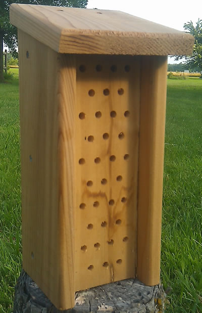 Mason Bee House