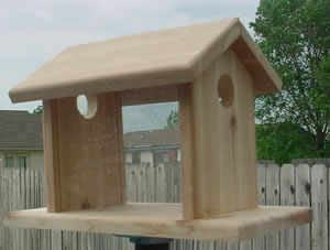 Cedar Mealworm Feeder