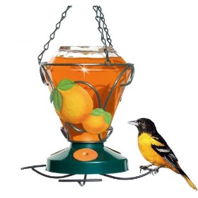 Oriole Feeder