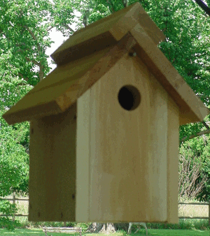 Peaked Roof Bird House