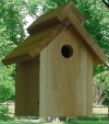 Peaked Roof Bird House