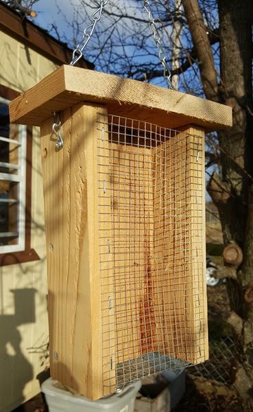 Cedar Peanut Feeder