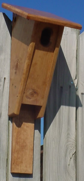 Bird Houses by Mark - Peterson Bluebird House