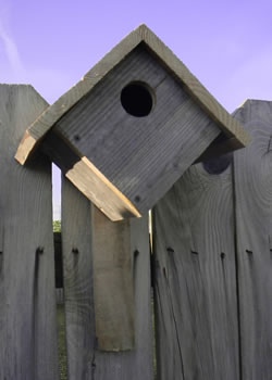 Blue Bird house made from recycled wood