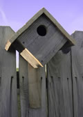 Bluebird House