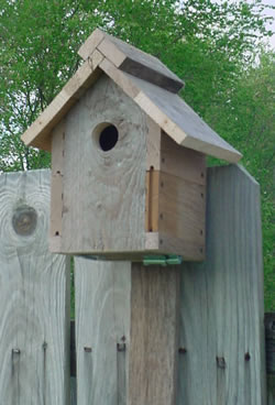 Recyled Wood Basic Bird House