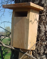 Slotted Bluebird House