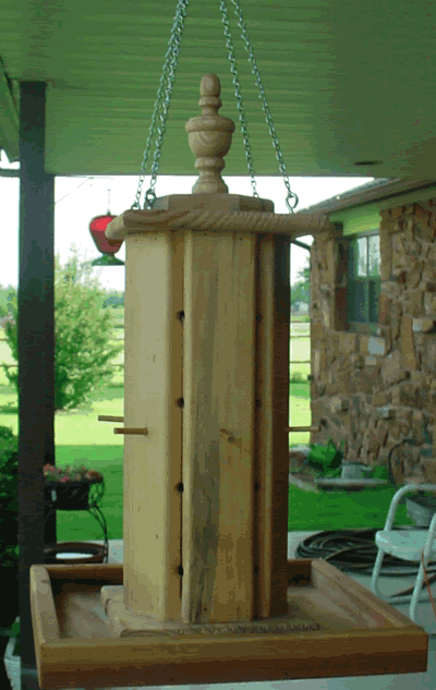 Sunflower seed feeder