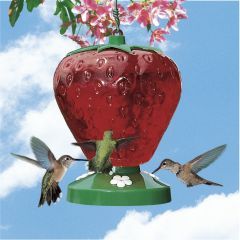 Strawberry Hummingbird Feeder