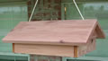 Double Cedar Suet Feeder