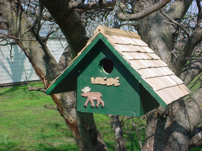 Wren, Garden, Hunter Green, Shingle