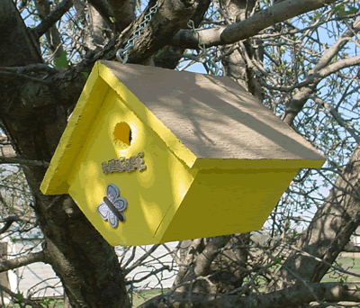 Wren, Diamond, Yellow, Composition
