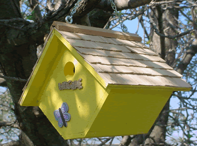 Wren, Diamond, Yellow, Shingles
