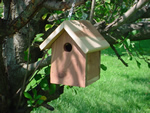 Eastern Cedar Wren Birdhouse